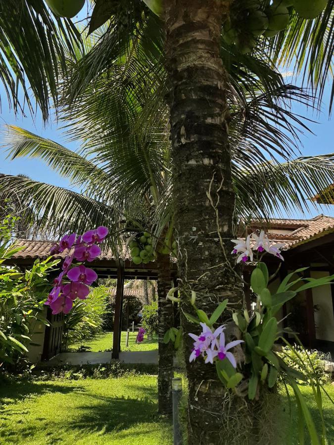 Casa Pomar Do Aconchego Apartment Paraty Ngoại thất bức ảnh